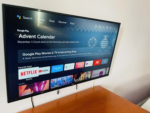Television