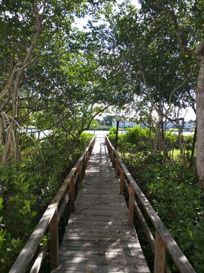 Dock through the mangroves to the Intracoastal Waterway