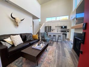 Living room, sofa sleeper (double), gas fireplace