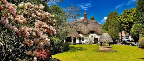Front garden at Galtons Cottage