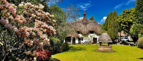 Front garden at Galtons Cottage