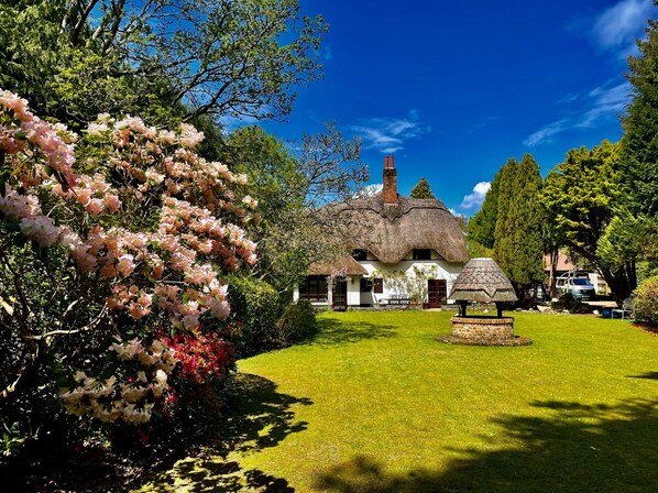 Front garden at Galtons Cottage