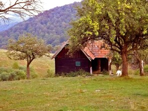 Carpathian Mountains log cabin - nearby Sibiu Transylvania, Romania