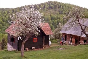 Carpathian Mountains log cabin - nearby Sibiu Transylvania, Romania