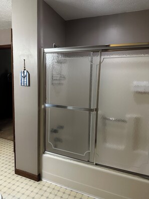 Shower in master bathroom