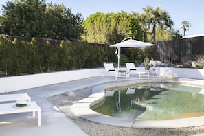 Pebble Tech pool. Approximately 25x14x5.5 deep