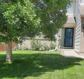 Front Yard