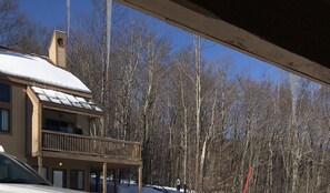 View to Sachem trail from front door