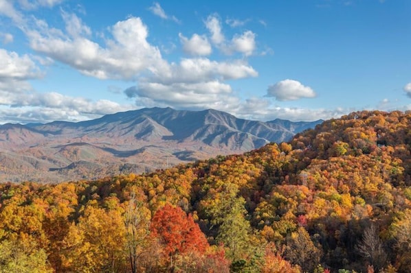 Fall Mountain Views!