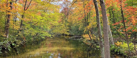 Fall is beautiful on the Yellow River!