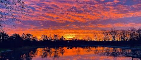 Sunrise over the pond.