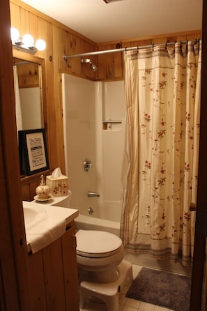 Lower level bathroom next to bedrooms