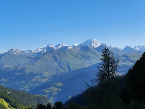 vue de l'appartement en été