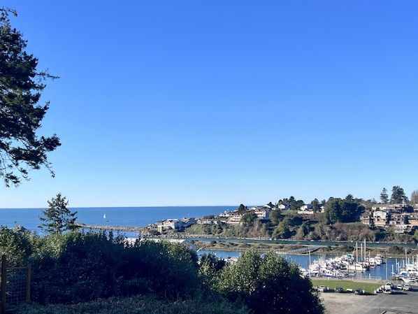 You can SEE why we’re called
Sea La’VIEWS! :)