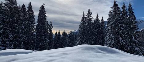 Snow and ski sports