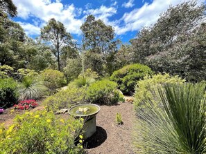 Beautiful mature native gardens surround this studio