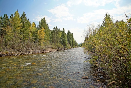 The Blue River right out back