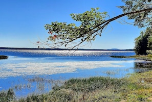 Our backyard, just steps from the Camp. Cadillac Mountain across the lake.