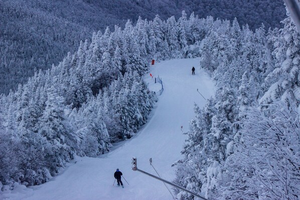 Terrain de l’hébergement 