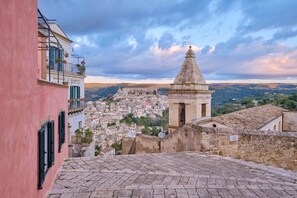 Panoramic view