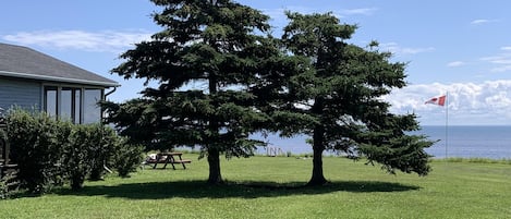 Terrain de l’hébergement 