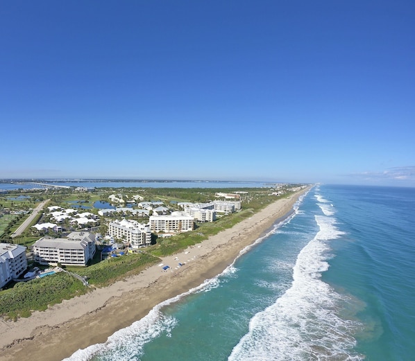 Our building is beachfront!