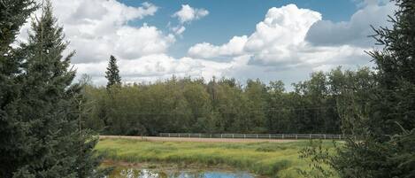 A scenic view from the fire pit & picnic table
You can see & hear the beavers!