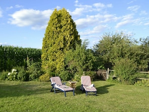 Nuage, Ciel, Plante, Propriété, Communauté Des Plantes, Feuille, Paysage Naturel, Végétation, Arbre, Lot Terre