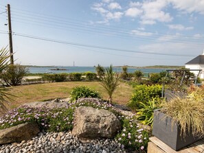 Roche, Arbuste, Communauté Des Plantes, Couverture De Sol, Jardin, Aménagement Paysager, Côte