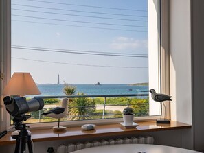 Mer, Océan, Côte, Ombre, Plante D'Appartement, Balcon, Pot De Fleur, Tropiques