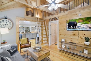 Ellijay Cabin:  Living Room