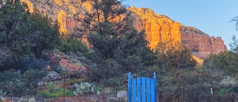 Gate to the forestry, to the rear of the property.