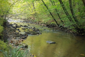 A small section of the creek