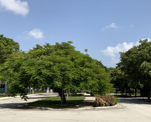 Imagen general