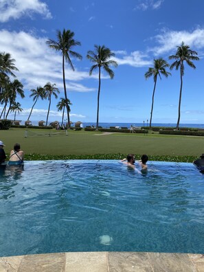 Adult pool.   1  of 7 pools. 