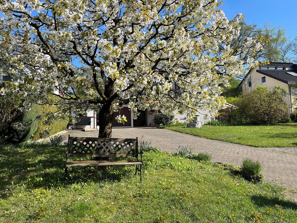 Boendeområde