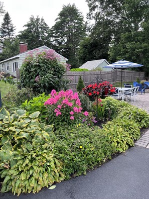Garden on the owner side of the patio