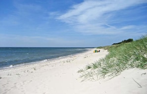 area