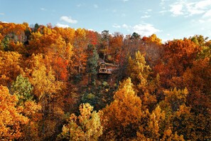 Secluded Log Cabin Nested Inside Woods