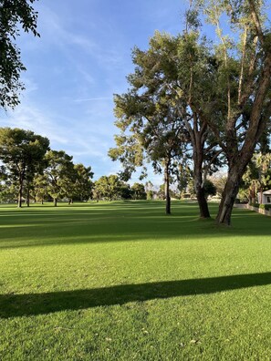 back yard view