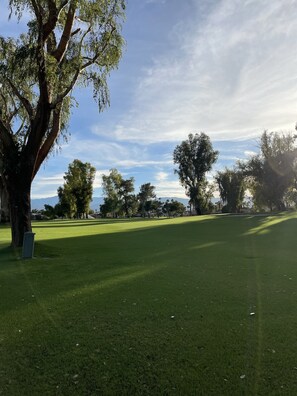 backyard view