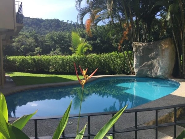 Community pool