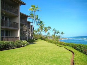 Only a stones throw from the lanai into the deep blue sea!