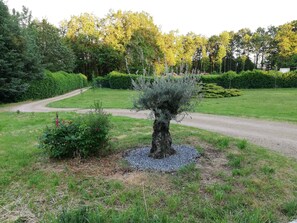 Boendeområde
