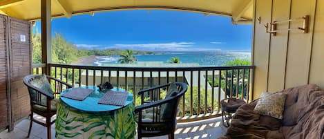 View from the lanai (fish eye lens)