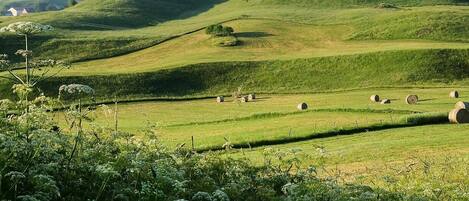 Panorama devant le gîte