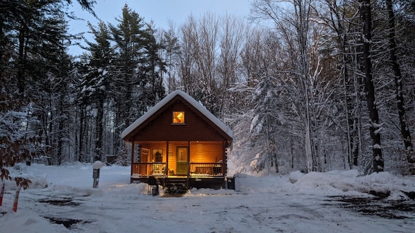 peaceful cabin in the woods (11/21/22)