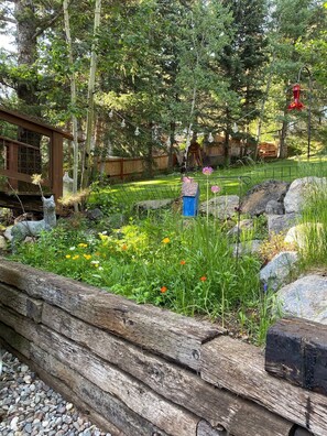 Jardines del alojamiento