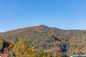 Miscelánea
