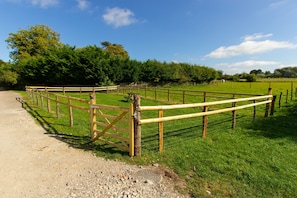 Fenced Lawn Area